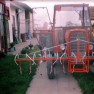 auto-lazar